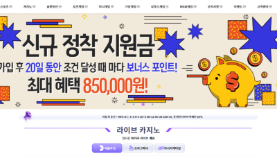 PLAY-19.COM 놀이터카지노 양방 검수핑계로 먹튀