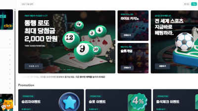 동행 bora123.com 먹튀사이트 주의! 슬롯으로 처음 먹어본 고액 475만원 먹튀